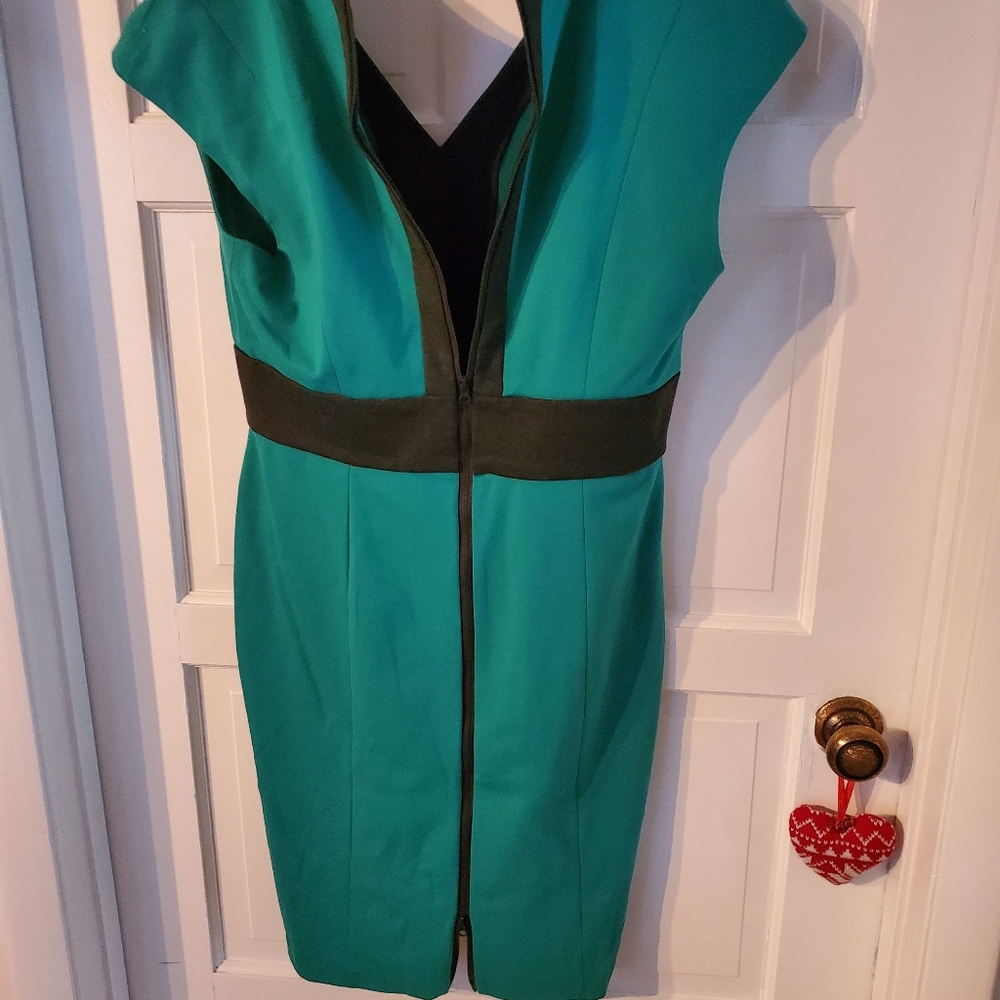 Narcisco Rodriguez Dress